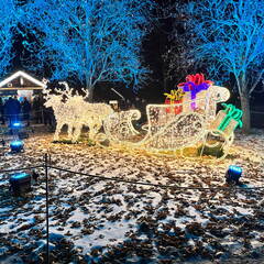 22-12-19 19-25-04 3668